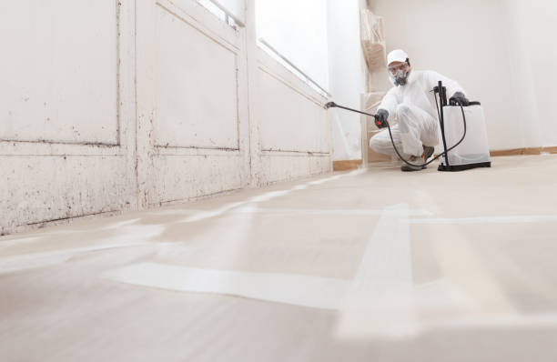 24/7 Emergency Attic Mold Remediation experts in Harrisburg, IL